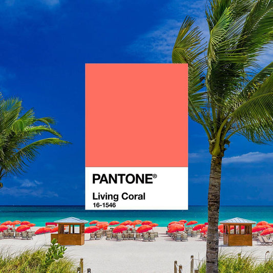 Pantone's Color of the year (2019)